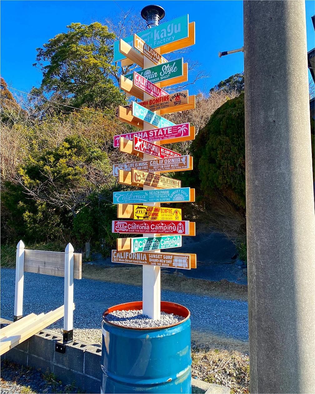 シンボルツリー