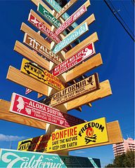 シンボルツリー