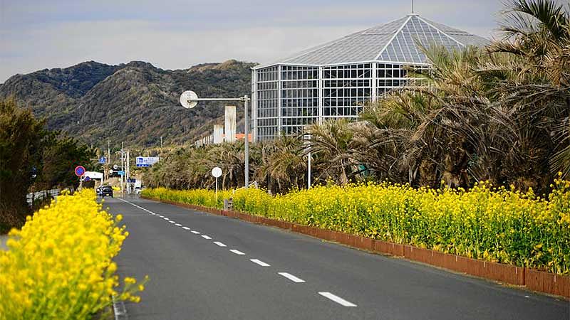 冬でも楽しめる周辺観光とドライブコース