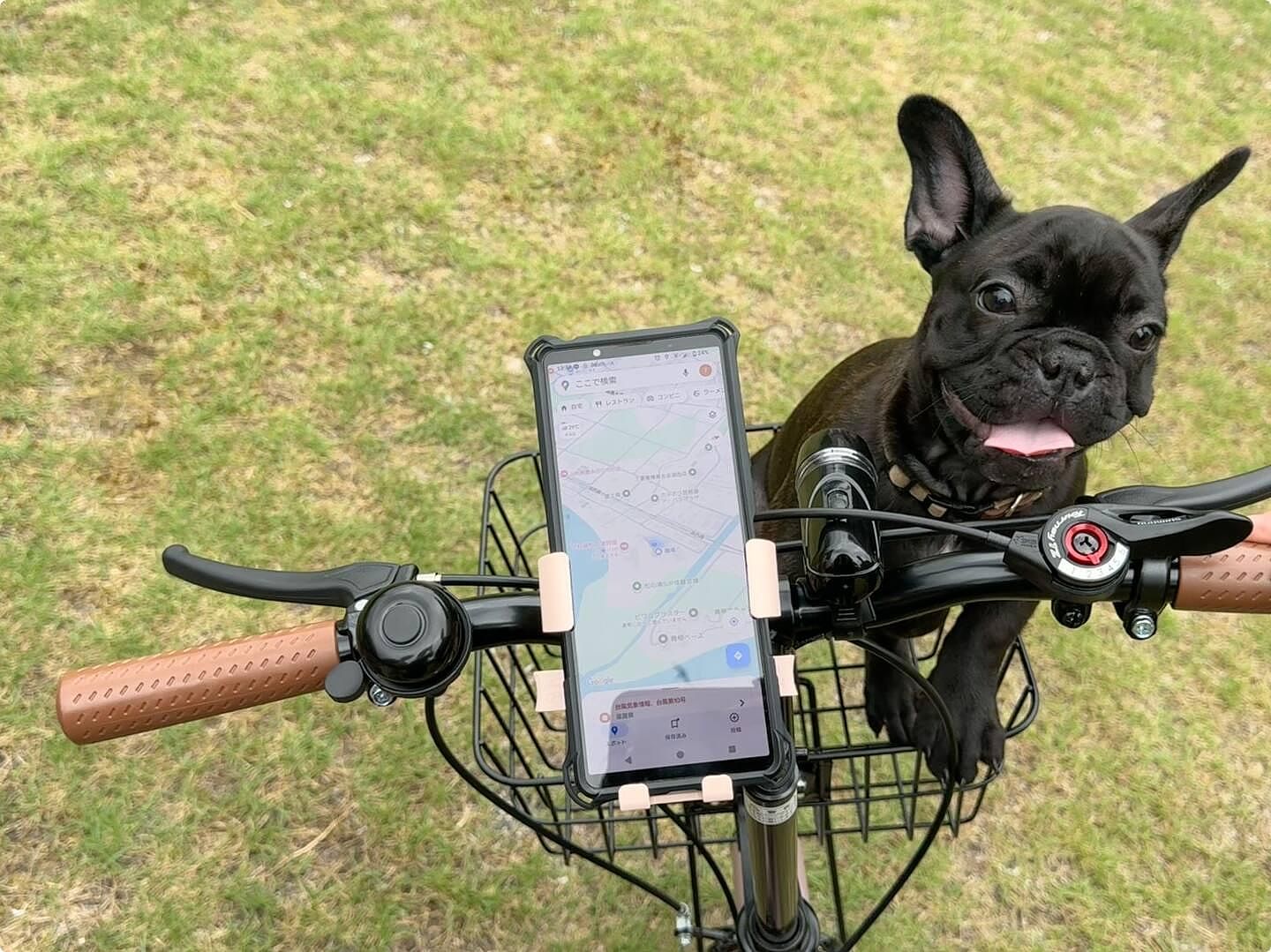 SUGAR BAY GARDEN-image