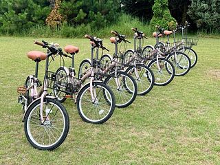 SUGAR BAY GARDEN-image