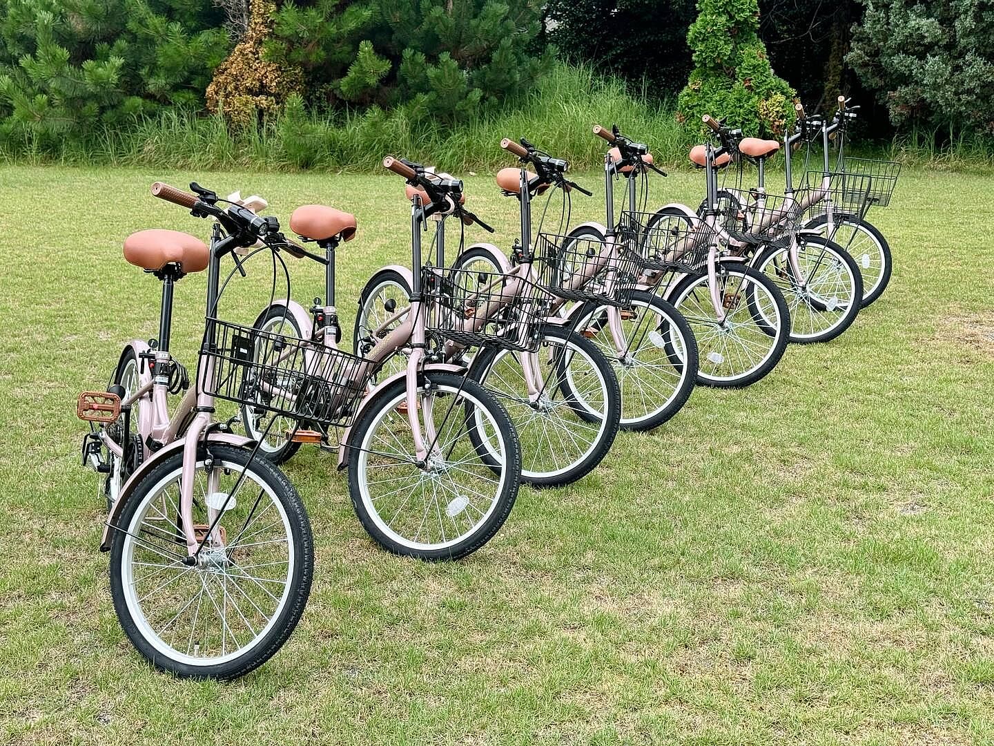 SUGAR BAY GARDEN-image