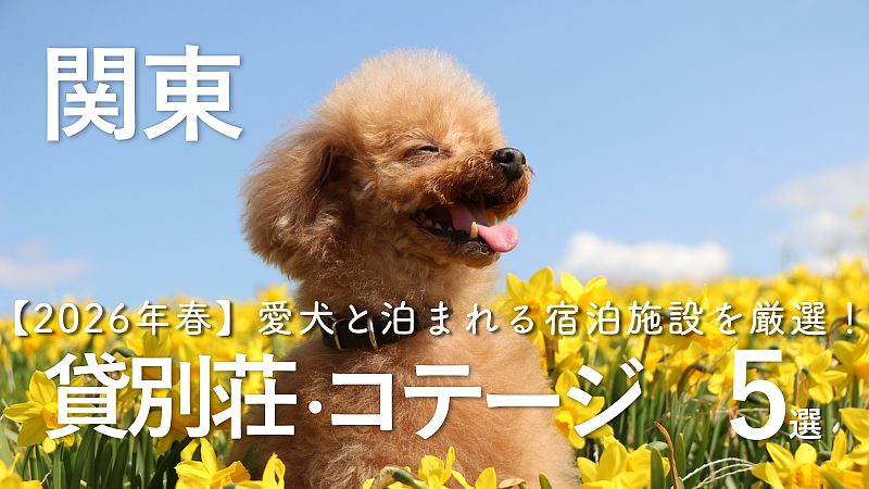 【2026年春】愛犬と泊まれる宿泊施設を厳選!貸別荘・コテージ・一棟貸し5選