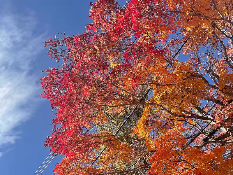 ランテルナ-image