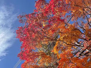 ランテルナ-image