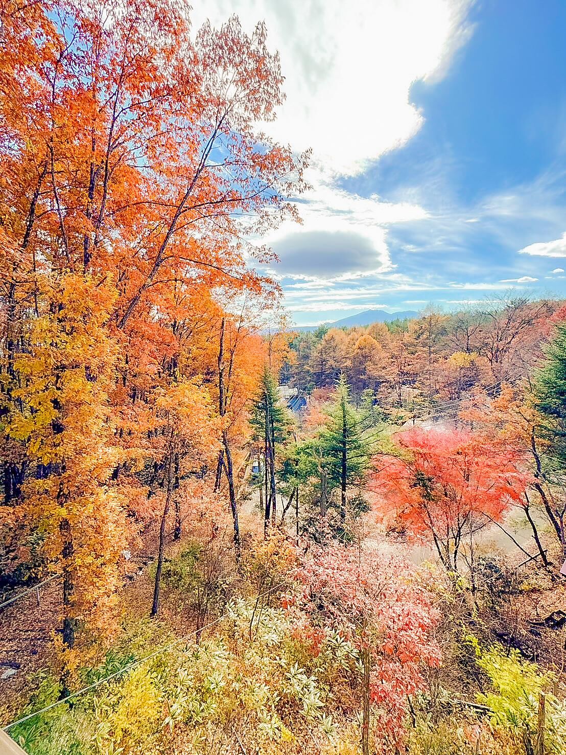 THE LOOKOUT KUSATSU-image