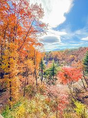 THE LOOKOUT KUSATSU-image