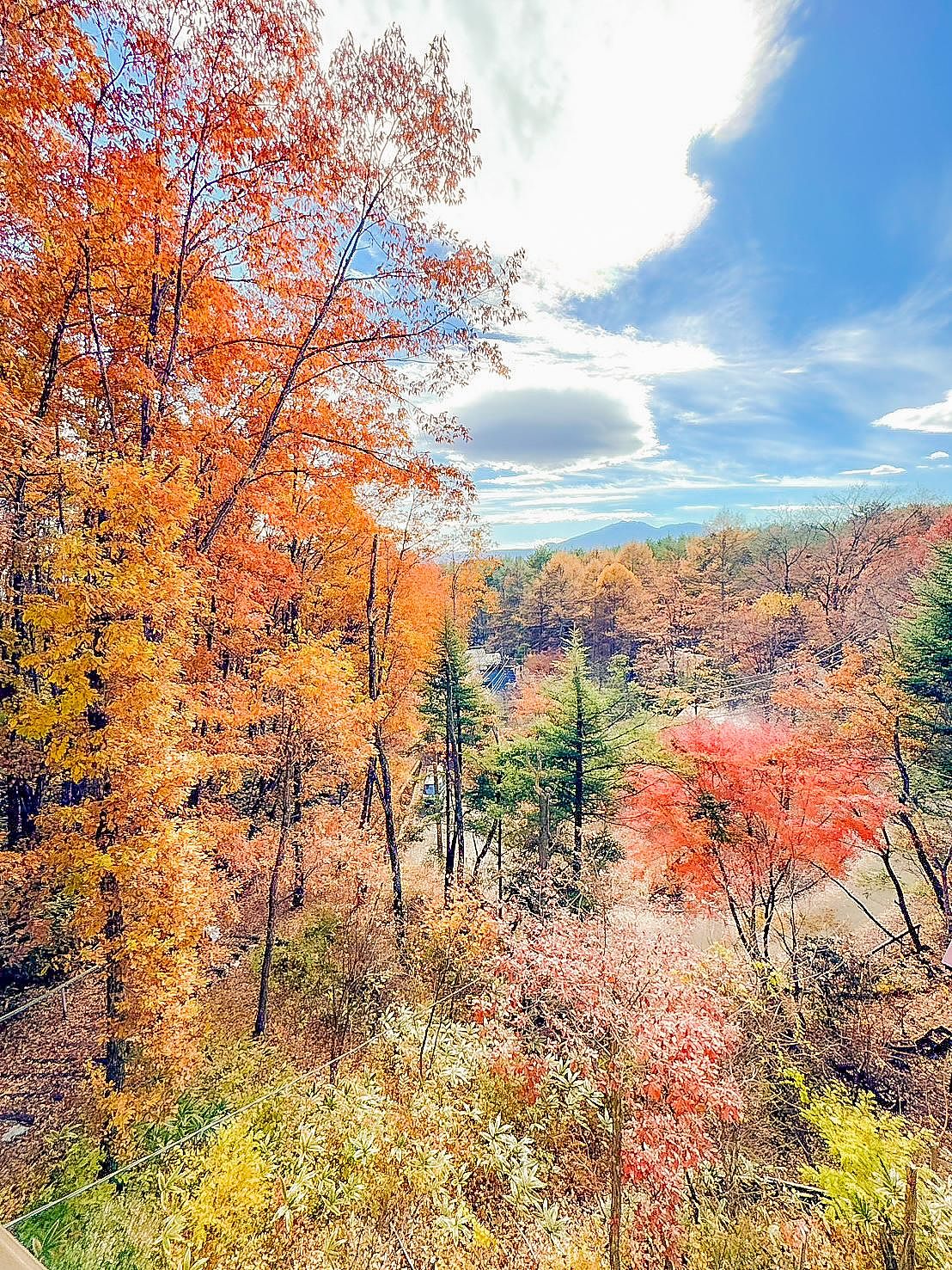 THE LOOKOUT KUSATSU-image
