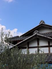 T-HOUSE YOGO-image