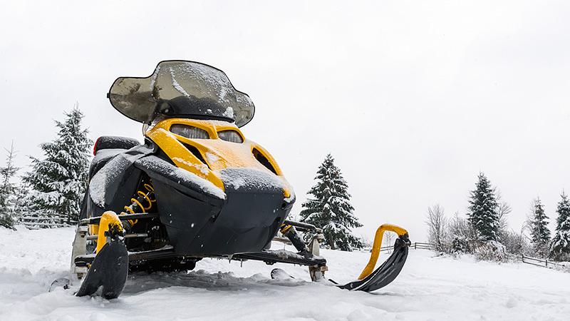 スキー場で楽しめる乗り物アクティビティ一覧