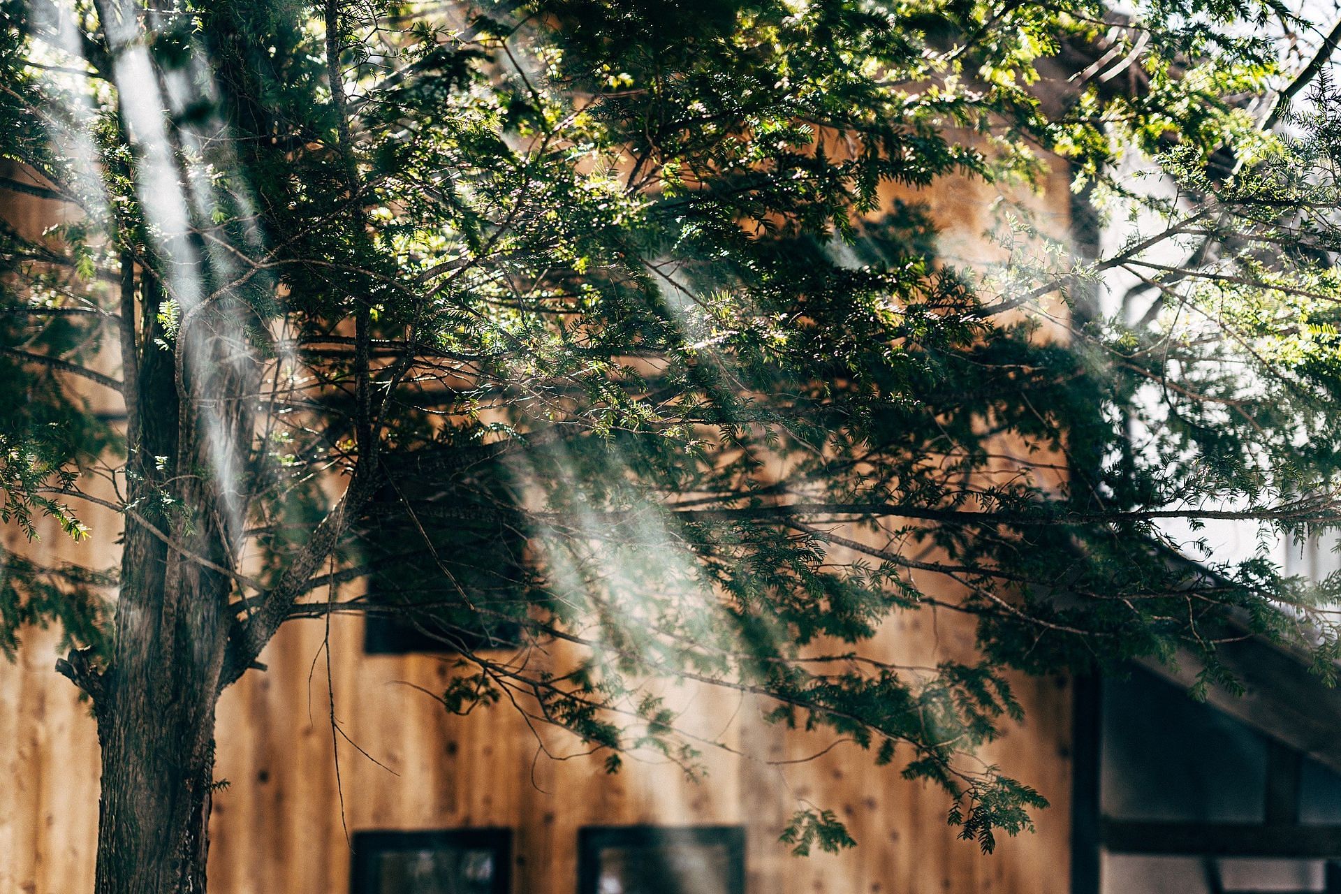 サウナ付き一棟貸し宿 大岡辻-tsuji oooka--image