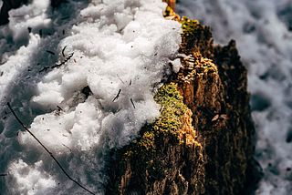 サウナ付き一棟貸し宿 大岡辻-tsuji oooka--image