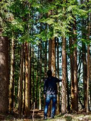 サウナ付き一棟貸し宿 大岡辻-tsuji oooka--image