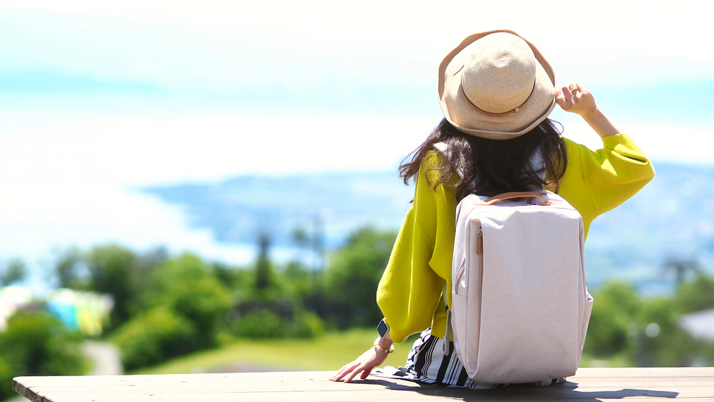 景色を見る観光客