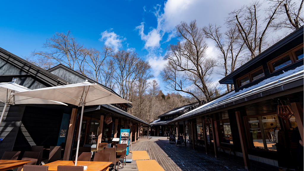 ハルニレテラス