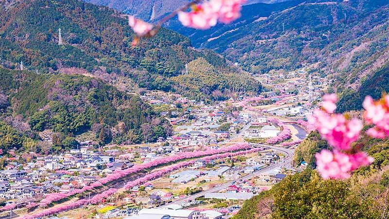 目的別おすすめスポットの選び方