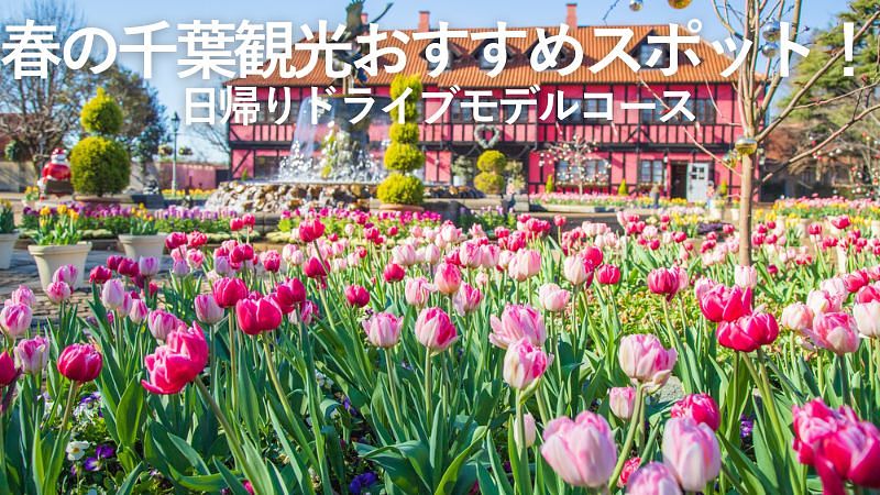 春の千葉観光おすすめスポット!日帰りドライブモデルコース