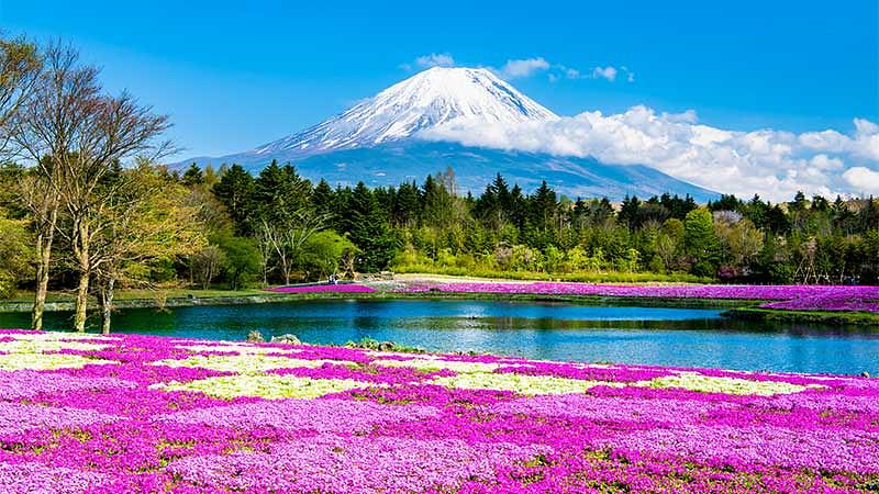 【月別】3月・4月・5月のおすすめ観光プラン