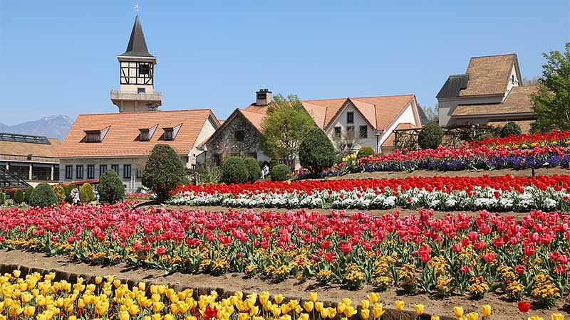 【エリア別】山梨観光のおすすめスポット