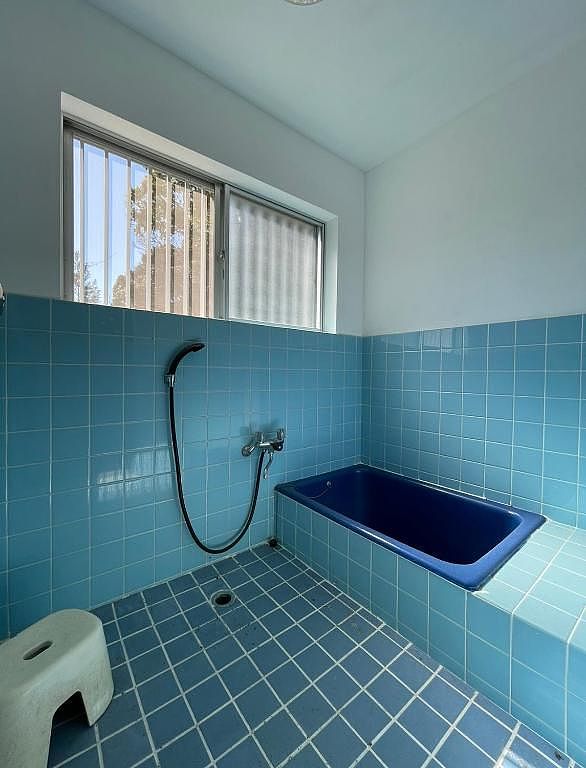 ワイルドライフ　森風-image