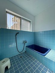 ワイルドライフ 森風-image