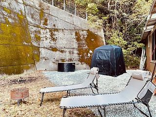 ワイルドライフ 森風-image