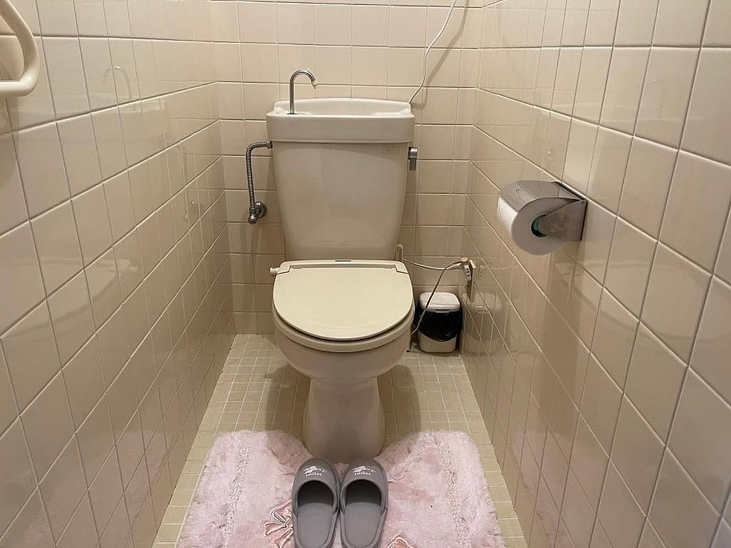 ワイルドライフ　森風-image