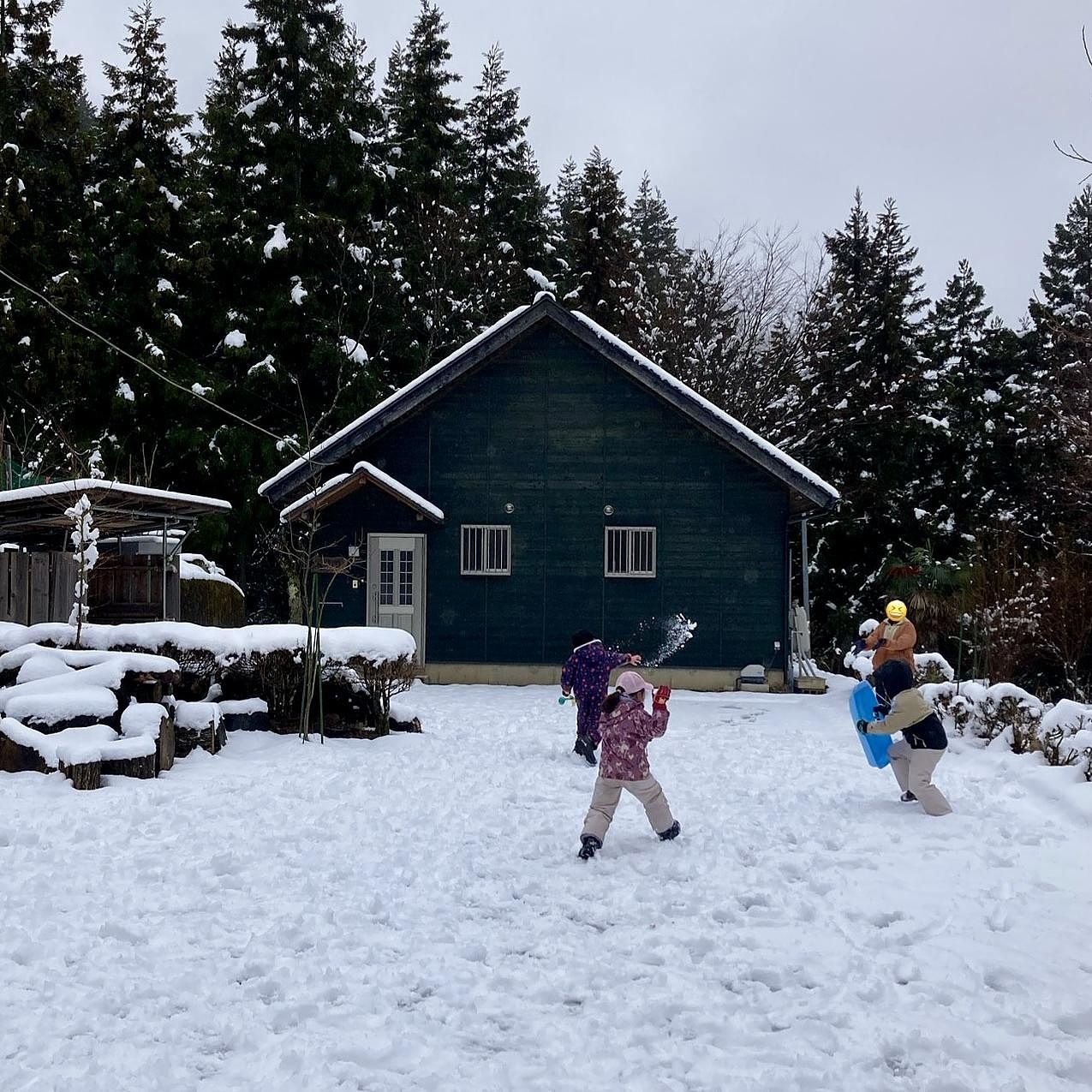雪（1月〜3月）