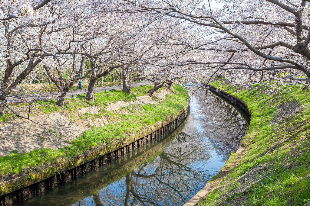 海老川ジョギングロード
