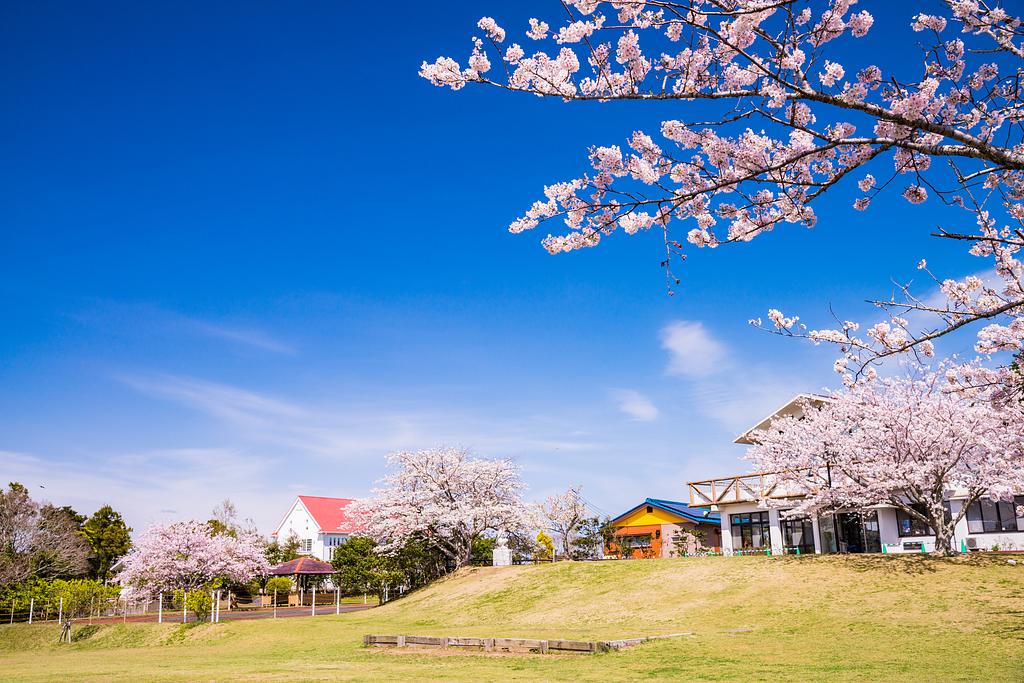魚見塚一戦場公園