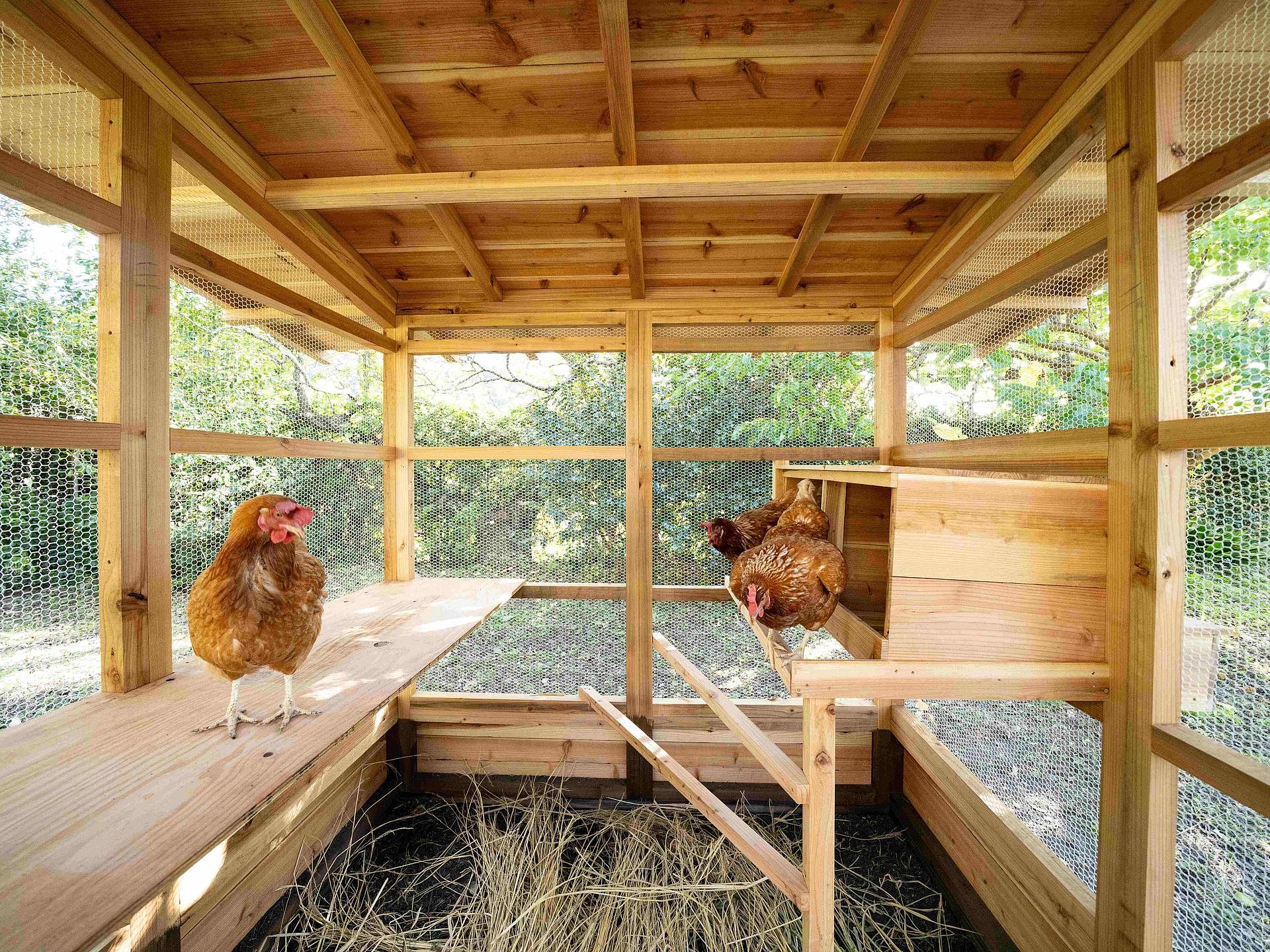 お屋敷ステイ 幸-image