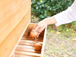 お屋敷ステイ 幸-image