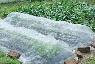 お屋敷ステイ 幸-image