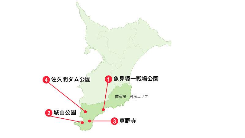 安房エリアでおすすめのお花見スポット4選