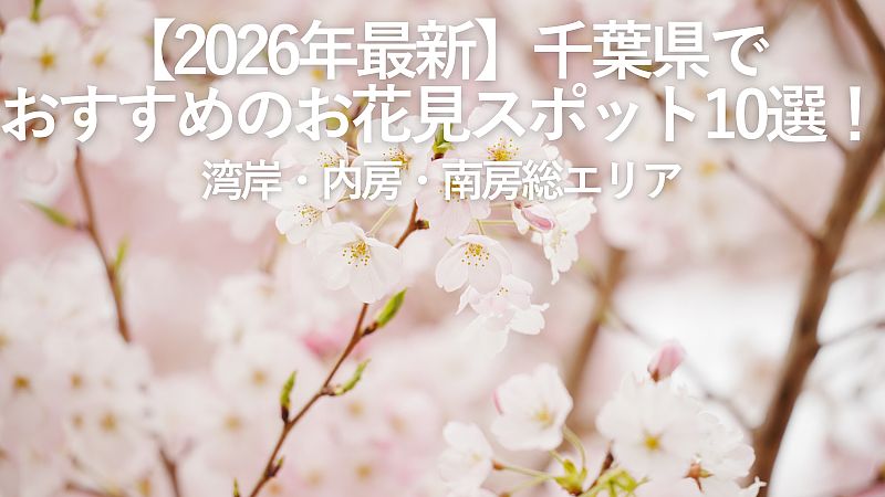 【2026年最新】千葉県でおすすめのお花見スポット10選!湾岸・内房・南房総エリア