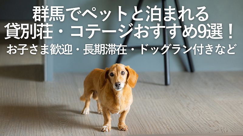 【2026年最新】群馬でペットと泊まれる貸別荘・コテージおすすめ9選！お子さま歓迎・長期滞在・ドッグラン付きなど