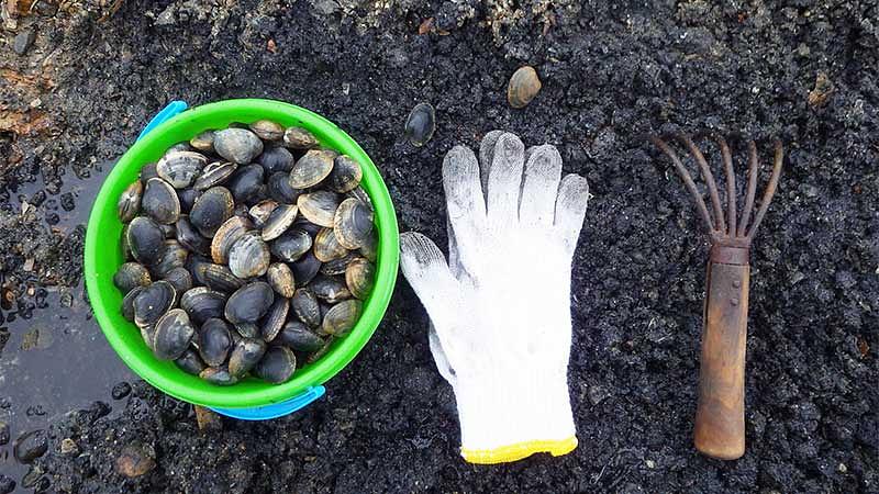 潮干狩りの持ち物