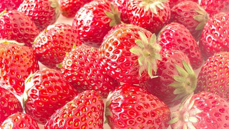 2月の旬の食べ物カレンダー【野菜・魚・果物】