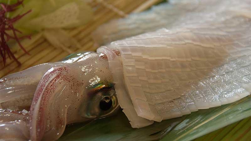 2月が旬の魚介類｜特徴とおすすめの食べ方