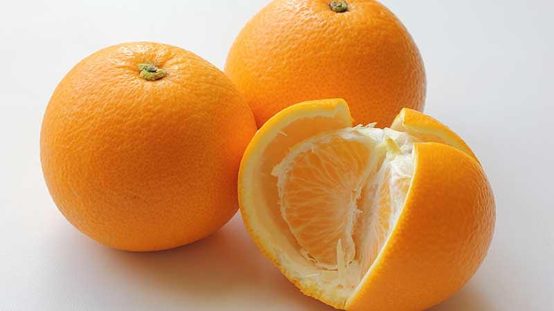 2月が旬の果物｜特徴とおすすめの食べ方