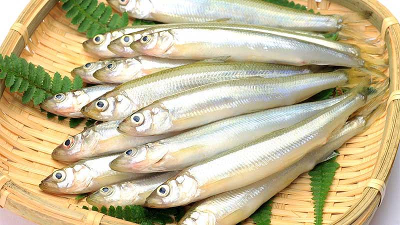 新鮮な旬食材の選び方と正しい保存方法