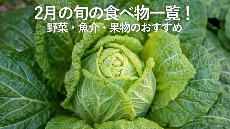 2月の旬の食べ物一覧!野菜・魚介・果物のおすすめ