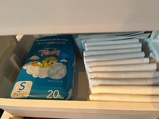 Ocean View Escape-image