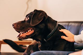 サウナ付き一棟貸し宿 大岡辻-tsuji oooka--image