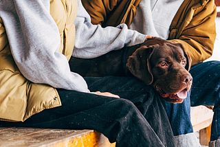サウナ付き一棟貸し宿 大岡辻-tsuji oooka--image