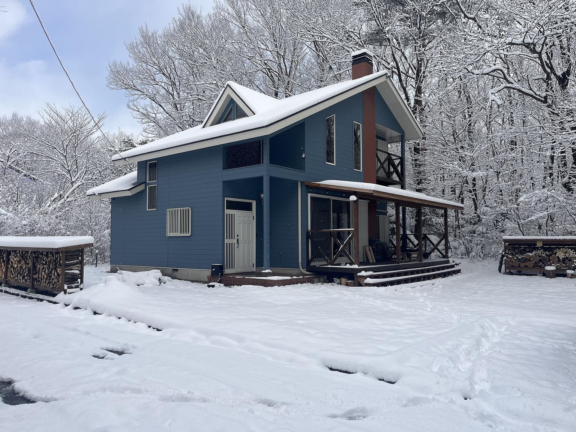 The Blue Moon（Forest 99 3rd）-image