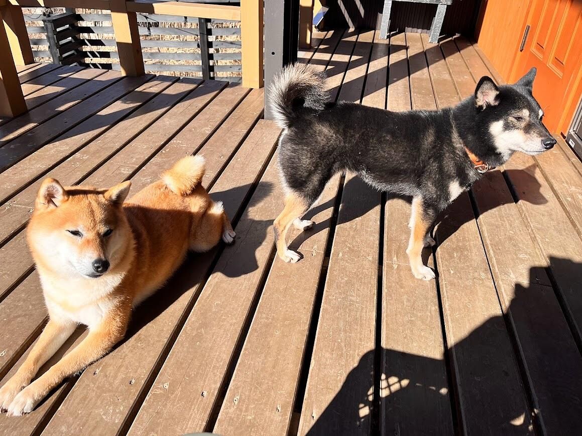 デッキ：4人掛けのテーブルベンチがあり天気のいい日は外で食事もできます。