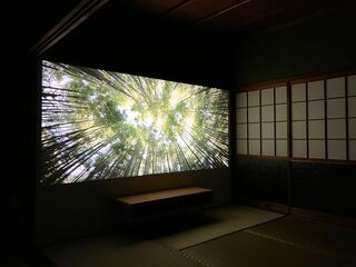 3ぴーす-image