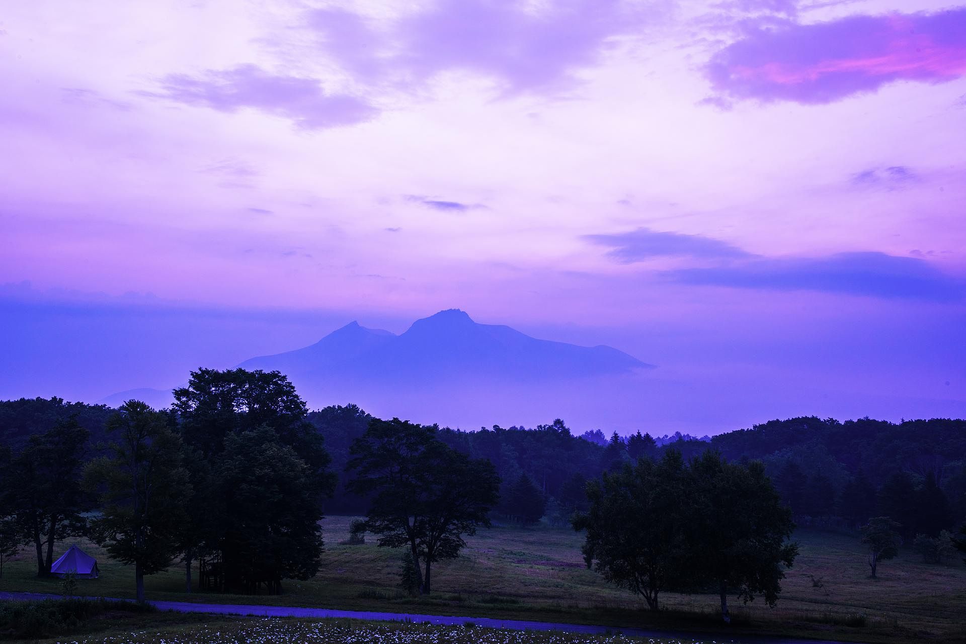 ヒルズテラス函館／デラックスヴィラタイプ／ローズマリー-image