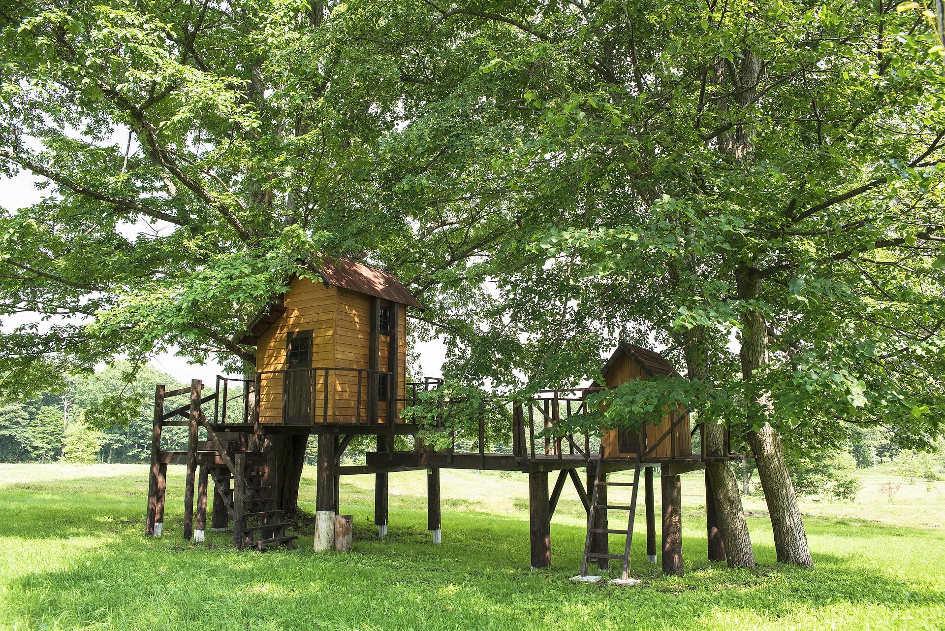 ヒルズテラス函館／デラックスヴィラタイプ／ローズマリー-image